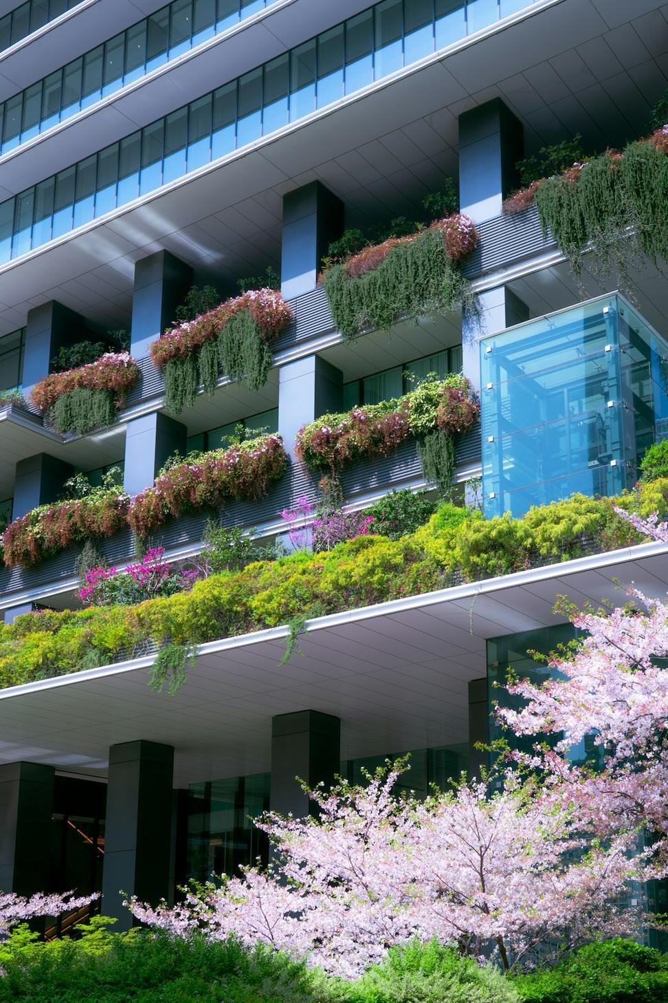 Sustainable Commercial Architecture
